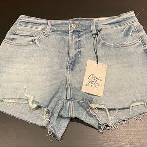Women’s Cosmic Blue Love Jean Shorts Size 29